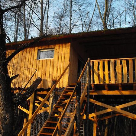 Cabane Des Cerfs Allons  Eksteriør billede