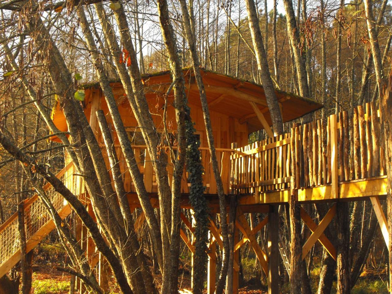 Cabane Des Cerfs Allons  Eksteriør billede