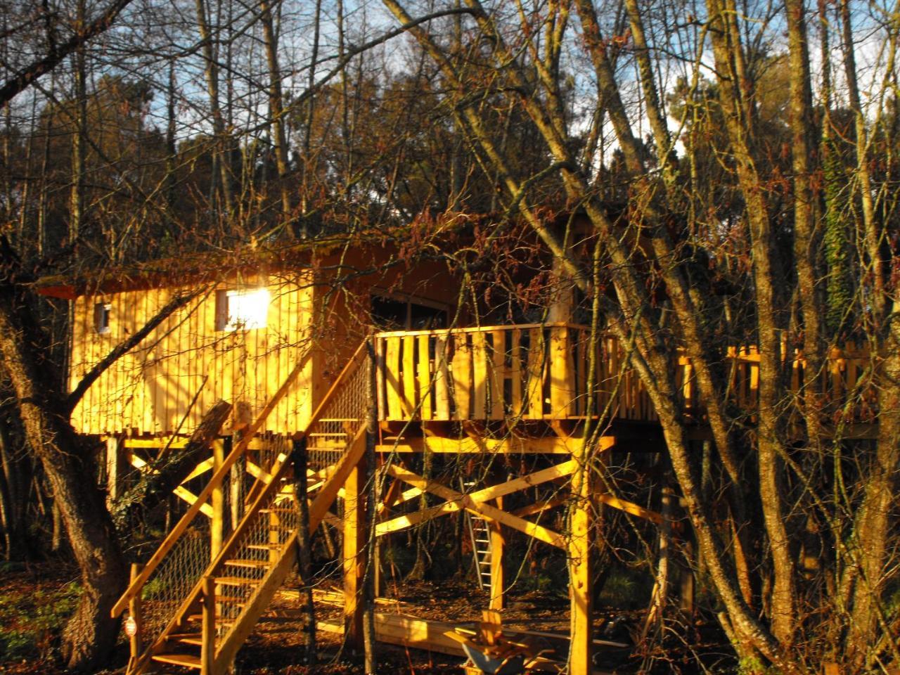 Cabane Des Cerfs Allons  Eksteriør billede